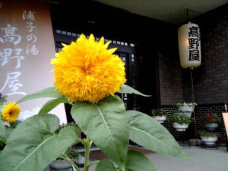 Takanoya Hotel Yuzawa  Exterior photo